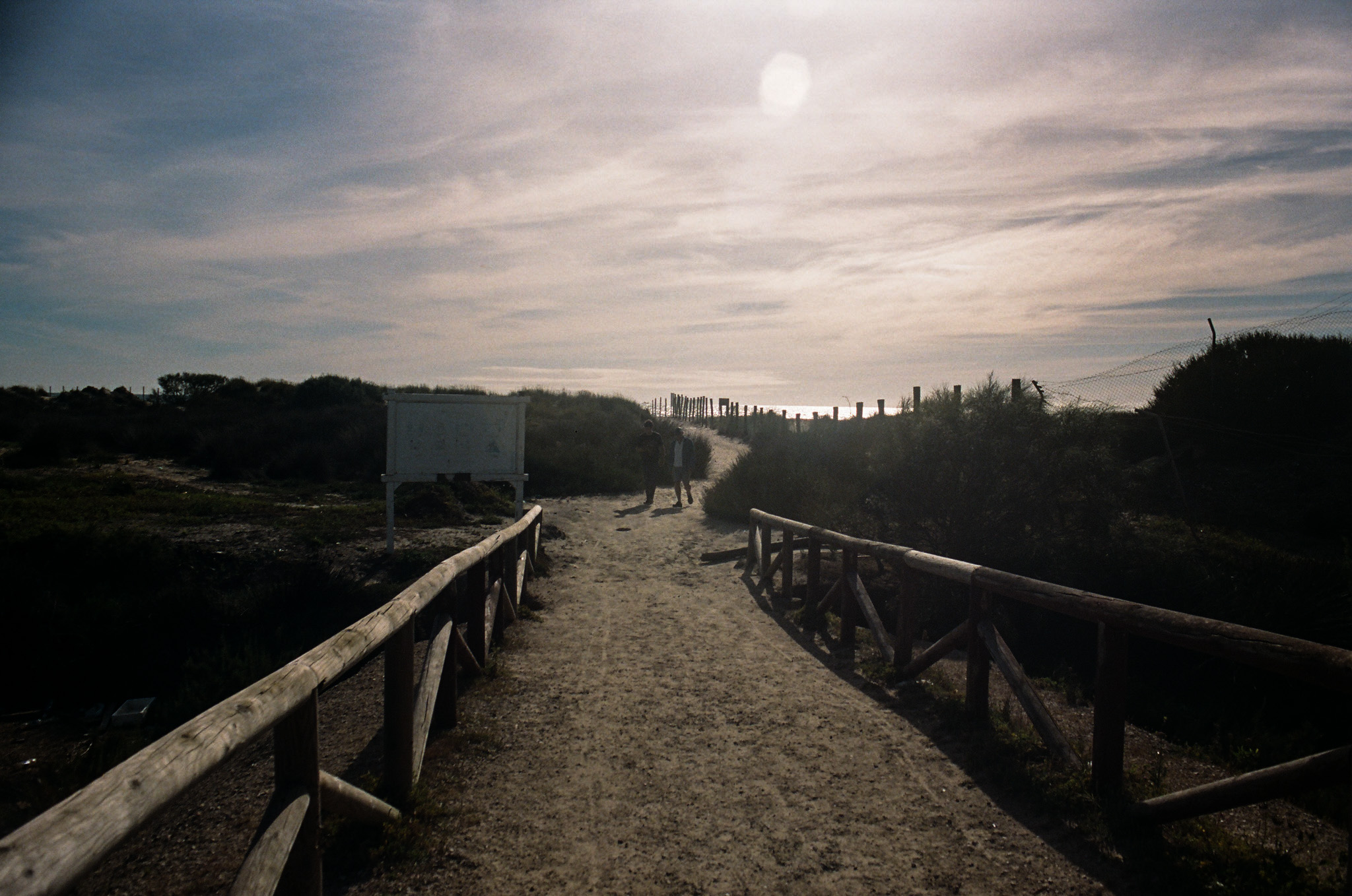 color-film - 10.jpg